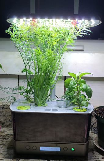 Screenshot-2024-10-19-at-12.55.55 AM The Best Smart Indoor Gardens for 2025: Grow Fresh at Home!